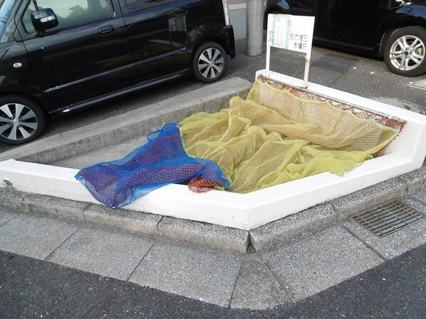 グレイスフル清和・東館の物件内観写真